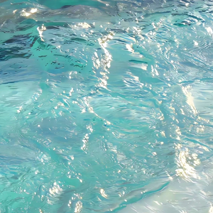 三国艳史2成人版
